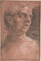 Bust of a Man, Wolfgang Huber (German, Feldkirch/Vorarlberg ca. 1485/90–1553 Passau), Black and white chalk on off-white paper prepared with red gouache