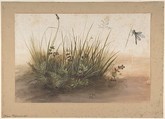 A Small Piece of Turf, Hans Hoffmann (German, Nuremberg ca. 1545/1550–1591/1592 Prague), Brush with gouache and watercolor over traces of charcoal underdrawing