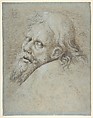 Head of a Bearded Man, Hans Hoffmann (German, Nuremberg ca. 1545/1550–1591/1592 Prague), Pen and orange-brown ink, brush and brown and black washes, heightened with white