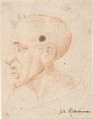 Bust of a Man Looking Left, Anonymous, 17th century, Red chalk