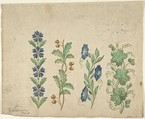 Designs for Embroidery, Anonymous, German, 19th century  German, Watercolor over traces of black chalk.