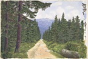 Goetheweg bei Torfhaus-Brocken, W. E. Cyrenius  Austrian (?), Bodycolor and watercolor