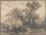 Trees (recto); Soldiers in a Wood (verso), Alexandre Calame Swiss, Graphite heightened with white bodycolor