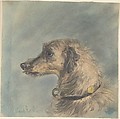 Head of a Scottish Deerhound, after Landseer's "Hafed", Maud Earl  British, Watercolor and graphite