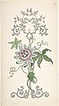 Design for Panel Decoration Centered on a Passion Flower, J. Hulme  British, Watercolor, pen and black ink