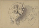 Study of a dog, Sir Edwin Henry Landseer (British, London 1802–1873 London), Black chalk heightened with white and red chalk