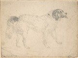 Study of a herding dog facing right, Sir Edwin Henry Landseer British, Graphite