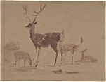 Stag and does, Sir Edwin Henry Landseer (British, London 1802–1873 London), Brush and brown wash over graphite