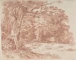 Wooded Landscape, Friedrich August Brand  Austrian, Red chalk