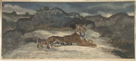 Royal Tiger, Antoine-Louis Barye (French, Paris 1795–1875 Paris), Watercolor and gouache