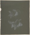 Floral Design, Antoine Berjon (French, Lyon 1754–1843 Lyon), White chalk with graphite