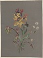 Floral Design, Antoine Berjon French, Green, yellow, red, purple, brown, and white gouache