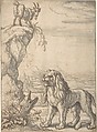 The Lyon and the Kid, from Ogilby's Aesopics, Francis Barlow  British, Recto: pen and brown ink, brush and gray wash, over graphite<br/>Verso: black chalk preparations