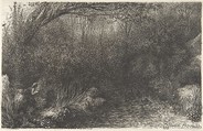 The Duck Hunt, Rodolphe Bresdin (French, Montrelais 1822–1885 Sèvres), Pen and black ink