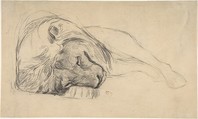The Head of a Recumbent Lion, Attributed to Pierre Andrieu (French, 1821–1892), Black chalk on wove paper