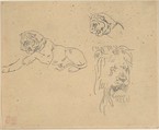 Three Studies of a Lion, Eugène Delacroix (French, Charenton-Saint-Maurice 1798–1863 Paris), Graphite on tracing paper (mounted on wove paper)