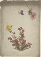Heather, Sweet Peas and Butterfly, Anonymous, British, 19th century British, Watercolor and gouache (bodycolor) on gray prepared ground