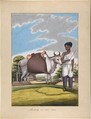 Puckaly in Moor Cast, from Indian Trades and Castes, Anonymous, Indian, 19th century Indian, Watercolor and gouache