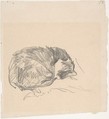A Cat Curled Up, Sleeping, Edouard Manet (French, Paris 1832–1883 Paris), Graphite, on ivory-colored paper