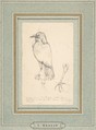 A Raven Perched on a Rail, Charles Meryon (French, 1821–1868), Graphite on wove paper laid down on blue-green French mat