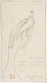 A Bird of Paradise, Charles Meryon (French, 1821–1868), Graphite