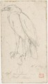 A Golden Eagle, Charles Meryon (French, 1821–1868), Graphite