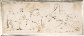 Horses, attributed to Francesco Allegrini (Italian, Cantiano (?) 1615/20–after 1679 Gubbio (?)), Pen and brown ink.  Framing lines in pen and brown ink on mount