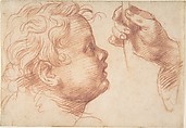 Studies of a Head and a Hand, Andrea del Sarto (Andrea d'Agnolo) Italian, Red chalk