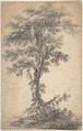 Study of a Tree, Attributed to Jean Pillement (French, Lyons 1728–1808 Lyons), Black chalk on beige paper