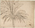 Study of a Palm Tree (recto); Mountain Landscape (verso), Nicolas Poussin (French, Les Andelys 1594–1665 Rome), Pen and brown ink, over traces of black chalk (recto); pen and brown ink (verso)