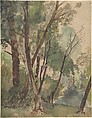 Louis-Antoine-Léon Riesener | Trees Beside a Pond | The Metropolitan ...