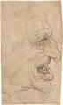 The Head of a Grotesque Man in Profile Facing Right, After Leonardo da Vinci (Italian, Vinci 1452–1519 Amboise), Pen and brown ink, on off-white paper (now darkened)