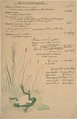 Program for the Evening of April 11, 1891, Anonymous, French, 19th century  French, pen and ink, watercolor on wove paper