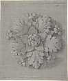 Design for a Rosette Relief, Anonymous, French, 19th century, Graphite, black chalk, heightened with white; framing lines in black chalk