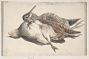 Dead Birds, Count Giorgio Durante (Duranti)  Italian, Watercolor over graphite; fragments of framing lines in pen and black ink at left and right edges