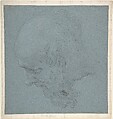Head of a Bearded Man Looking to Upper Left, Ciro Ferri Italian, Black chalk, highlighted with white, on blue paper
