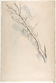 Studies of a tree (recto and verso), Paul Cézanne (French, Aix-en-Provence 1839–1906 Aix-en-Provence), Graphite with green, blue and yellow washes (recto); graphite with green, blue and purple washes (verso)