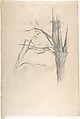 Studies of a tree (recto and verso), Paul Cézanne (French, Aix-en-Provence 1839–1906 Aix-en-Provence), Graphite with green, blue and yellow washes (recto); graphite with green, blue and purple washes (verso)