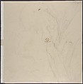 Design for a Plate Decorated with a Bird and Plant Motifs, Karl Bodmer (Swiss, Riesbach 1809–1893 Barbizon), Graphite, brush and brown wash; squared for transfer