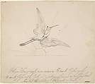 Wounded Crane with an Arrow in its Breast Before Setting Sun, Max Klinger German, Pen and ink on buff stock