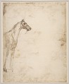 The Rescue of a Drowned Man (recto); Study of a Horse (verso), Théodore Gericault (French, Rouen 1791–1824 Paris), Pen and brown ink