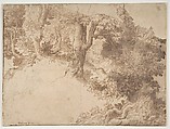 Woodland Scene with Light Sketch of a Madonna and Child, attributed to Girolamo Muziano (Italian, Acquafredda, Brescia 1528–1592 Rome), Pen and brown ink, brush and brown wash, over black chalk, on buff paper