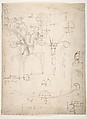 Unidentified Corinthian capital, elevation, section, and ceiling plan (recto) blank (verso), Drawn by Anonymous, French, 16th century, Dark brown ink, black chalk, and incised lines