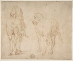 Horses, Parmigianino (Girolamo Francesco Maria Mazzola) (Italian, Parma 1503–1540 Casalmaggiore), Pen and brown ink; framing lines in pen and brown ink on mount