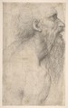 Bust of a Man with Long Beard (recto), Sodoma (Giovanni Antonio Bazzi) (Italian, Vercelli 1477–1549 Siena), Black chalk