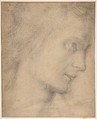 Head of a Youth in Profile (recto); Study of a Seated Figure (verso), attributed to Giovanni Antonio Sogliani (Italian, Florence 1492–1544 Florence), Black chalk (recto and verso)