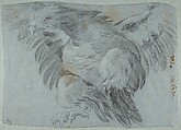 An Eagle with Wings Spread, Giovanni Battista Tiepolo  Italian, Charcoal, heightened with white chalk