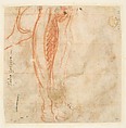 Group of Six Reclining Nude Women (Nymphs Bathing) (recto); Sketch of a Leg (verso), Taddeo Zuccaro (Italian, Sant&#39;Angelo in Vado 1529–1566 Rome), Pen and brown ink, brush and brown wash, traces of red chalk (recto), red chalk (verso)