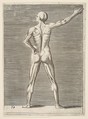 Flayed man seen from the back, his right arm extended, Giulio Bonasone Italian, Engraving