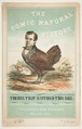 The Hen That Hatched This Egg (Henry L. Stephens), Title Page, from "The Comic Natural History of the Human Race", Henry Louis Stephens  American, Color lithograph with watercolor and gum